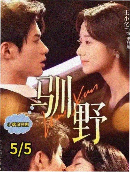喜剧电视剧大全 - 生活大爆炸